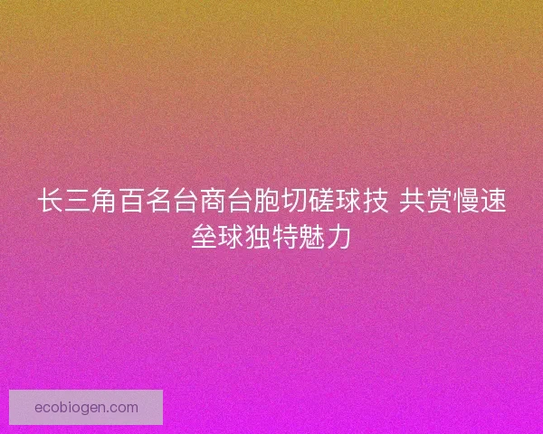 长三角百名台商台胞切磋球技 共赏慢速垒球独特魅力