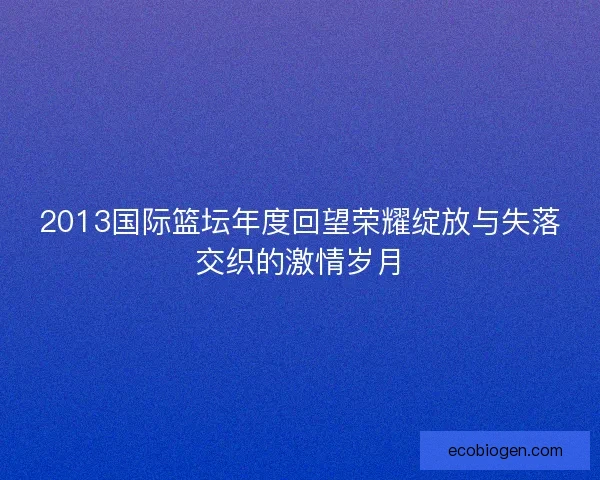 2013国际篮坛年度回望荣耀绽放与失落交织的激情岁月