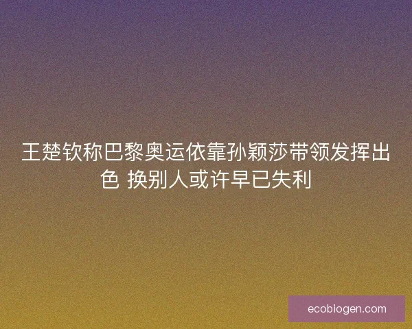 王楚钦称巴黎奥运依靠孙颖莎带领发挥出色 换别人或许早已失利