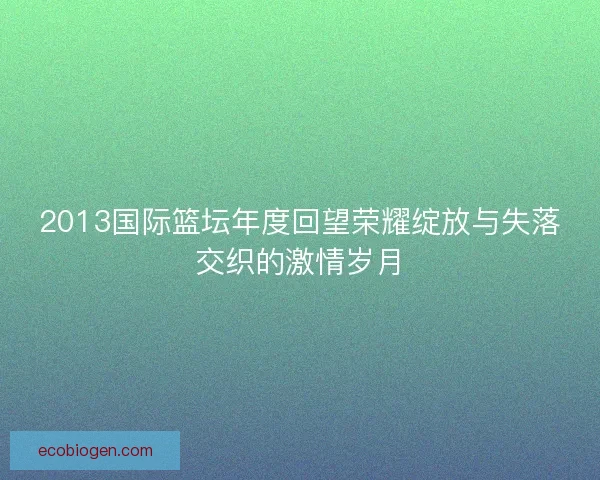 2013国际篮坛年度回望荣耀绽放与失落交织的激情岁月