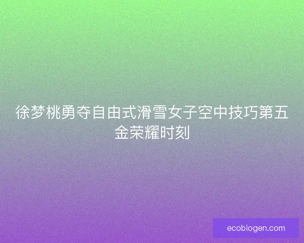 徐梦桃勇夺自由式滑雪女子空中技巧第五金荣耀时刻
