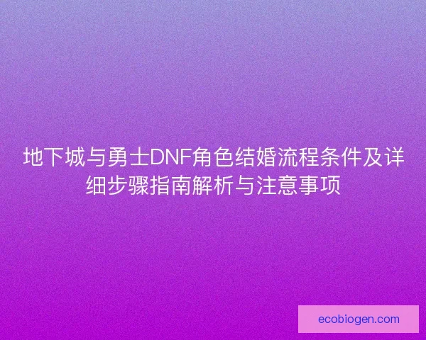地下城与勇士DNF角色结婚流程条件及详细步骤指南解析与注意事项